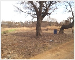  2024Ÿ��57188 ��� ���ý� �ؼ��� ���긮 221-15      ����(��1)���