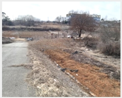  2024Ÿ��57188 ��� ���ý� �ؼ��� ���긮 221-15      ����(��1)���