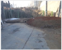  2024Ÿ��90 ��� �ȼ��� ������ �µθ� 7-7      ����(����)���