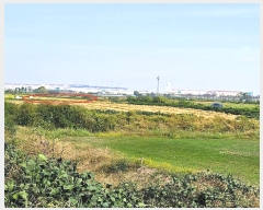  2024Ÿ4351  ý ؼ θ 130-1      ()