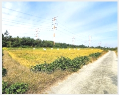  2024Ÿ4351  ý ؼ θ 130-1      ()