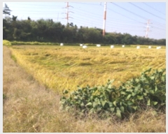  2024Ÿ4351  ý ؼ θ 130-1      ()