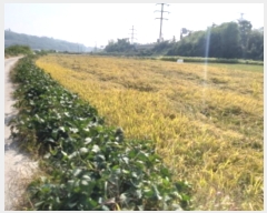  2024Ÿ4351  ý ؼ θ 130-1      ()