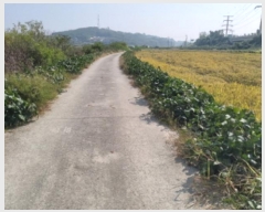  2024Ÿ4351  ý ؼ θ 130-1      ()