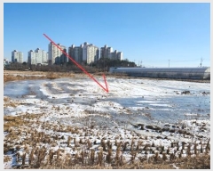  2024Ÿ5156  ý  ⸮ 237      ()