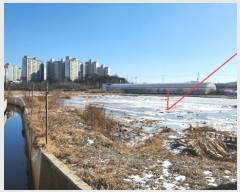  2024Ÿ5156  ý  ⸮ 237      ()