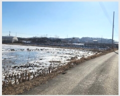  2024Ÿ5156  ý  ⸮ 237      ()