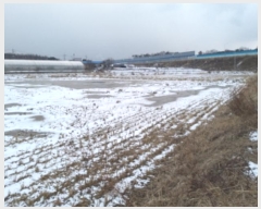  2024Ÿ5156  ý  ⸮ 237      ()