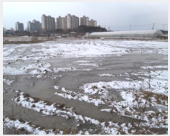  2024Ÿ5156  ý  ⸮ 237      ()