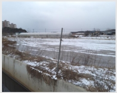  2024Ÿ5156  ý  ⸮ 237      ()