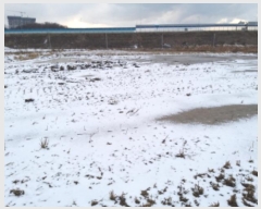  2024Ÿ5156  ý  ⸮ 237      ()