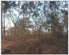  2024Ÿ��5279 ��� ���ý� ������ ���� 510-10      ����(�Ӿ�)���