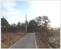  2024Ÿ��5279 ��� ���ý� ������ ���� 510-10      ����(�Ӿ�)���