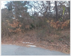  2024Ÿ��5279 ��� ���ý� ������ ���� 510-10      ����(�Ӿ�)���