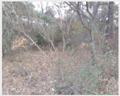  2024Ÿ��5279 ��� ���ý� ������ ���� 510-10      ����(�Ӿ�)���