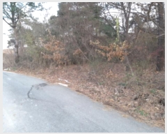  2024Ÿ��5279 ��� ���ý� ������ ���� 510-10      ����(�Ӿ�)���