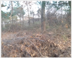  2024Ÿ��5279 ��� ���ý� ������ ���� 510-10      ����(�Ӿ�)���