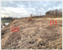  2024Ÿ5354  ý û Ҹ 50-9      (Ӿ)