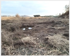  2024Ÿ5354  ý û Ҹ 50-9      (Ӿ)