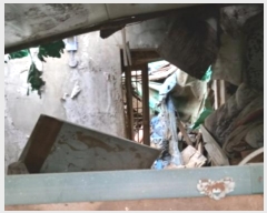  2024Ÿ��5583  ���ð��