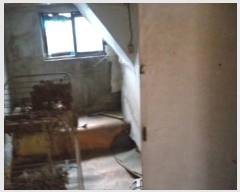  2024Ÿ��5583  ���ð��