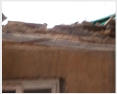  2024Ÿ��5583  ���ð��