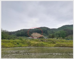  2024Ÿ��43493 ��� �ȼ��� ������ ��︮ ��122      ����(�Ӿ�)���