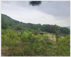  2024Ÿ��43493 ��� �ȼ��� ������ ��︮ ��122      ����(�Ӿ�)���