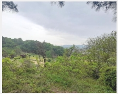  2024Ÿ��43493 ��� �ȼ��� ������ ��︮ ��122      ����(�Ӿ�)���