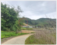  2024Ÿ��43493 ��� �ȼ��� ������ ��︮ ��122      ����(�Ӿ�)���