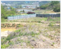  2024Ÿ��43493 ��� �ȼ��� ������ ��︮ ��122      ����(�Ӿ�)���