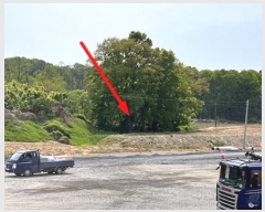  2024Ÿ��45390 ��� ���ý� ������ �� 31      ����(��)���