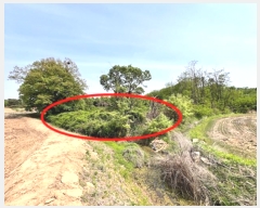  2024Ÿ��45390 ��� ���ý� ������ �� 31      ����(��)���