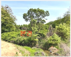  2024Ÿ��45390 ��� ���ý� ������ �� 31      ����(��)���