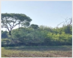  2024Ÿ��45390 ��� ���ý� ������ �� 31      ����(��)���