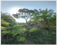  2024Ÿ��45390 ��� ���ý� ������ �� 31      ����(��)���