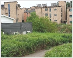  2024Ÿ50804  ý ź ݰ 304-29      ()