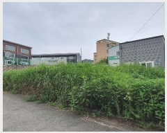  2024Ÿ50804  ý ź ݰ 304-29      ()