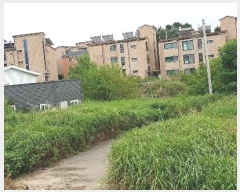  2024Ÿ50804  ý ź ݰ 304-29      ()