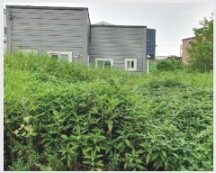  2024Ÿ50804  ý ź ݰ 304-29      ()