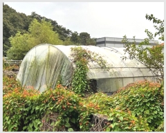  2024Ÿ52541  ȼ   474-64      ,â