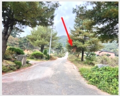  2024Ÿ52541  ȼ   474-64      ,â