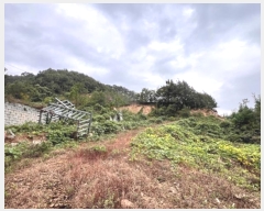  2024Ÿ52541  ȼ   474-64      ,â