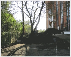  2024Ÿ53094  ý   305-6      ü