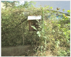  2024Ÿ53094  ý   305-6      ü