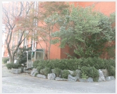  2024Ÿ53094  ý   305-6      ü