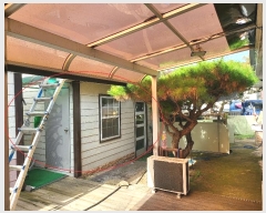  2024Ÿ��53889  ���ð��