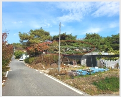  2024Ÿ��53889  ���ð��