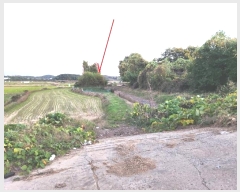  2024Ÿ��54004 ��� ���ý� ������ ��� 164-5      ����(�Ӿ�)���