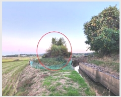  2024Ÿ��54004 ��� ���ý� ������ ��� 164-5      ����(�Ӿ�)���